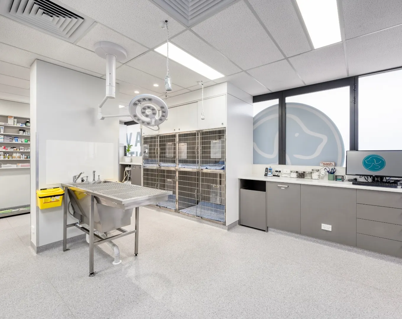 Tailored Designs for Your Veterinary Practice​