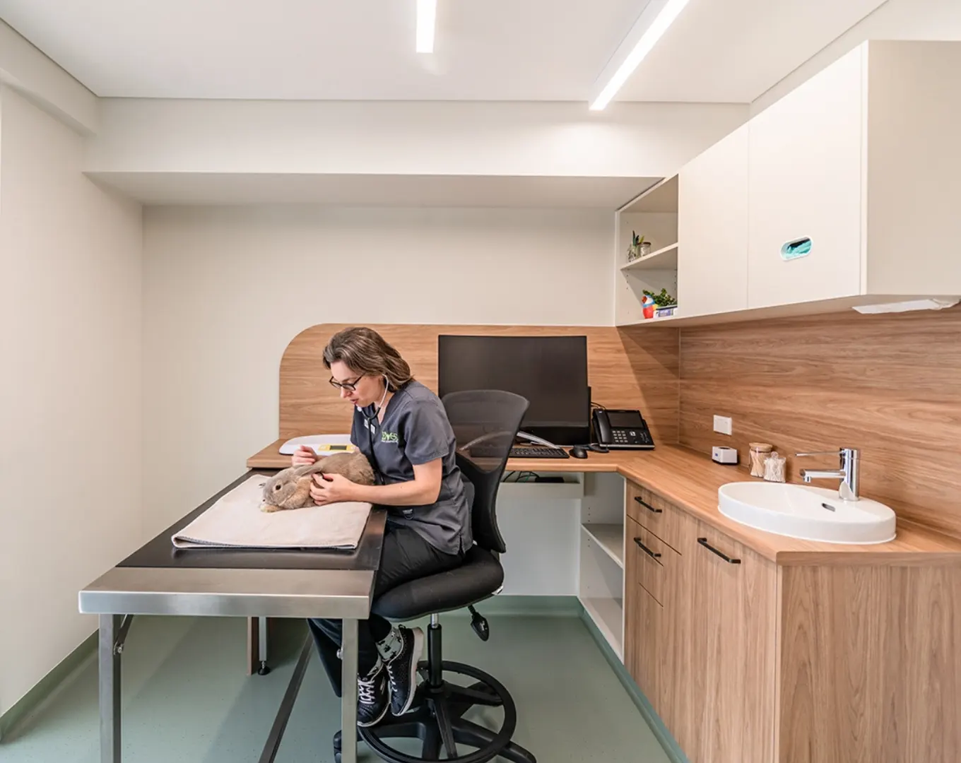 Innovative Designs for Exceptional Veterinary Practices​